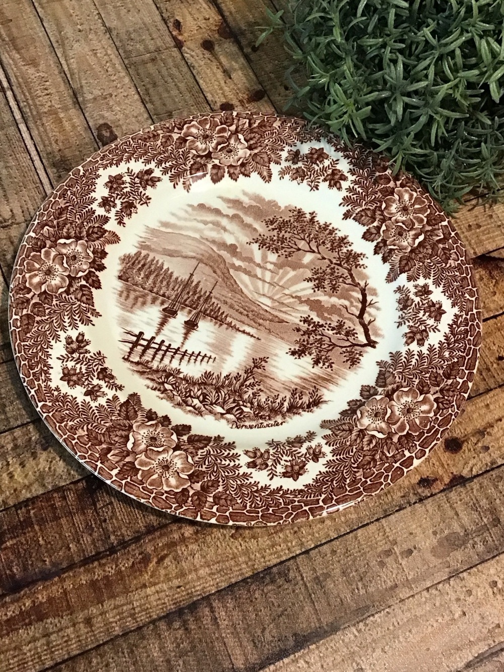 ♥️5/25$ vintage dinner plate